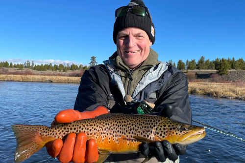 Google Ads and Hunting Content