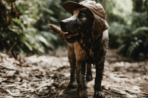 Guide to Outdoor Industry Marketing for Rapid Business Growth in 2026
