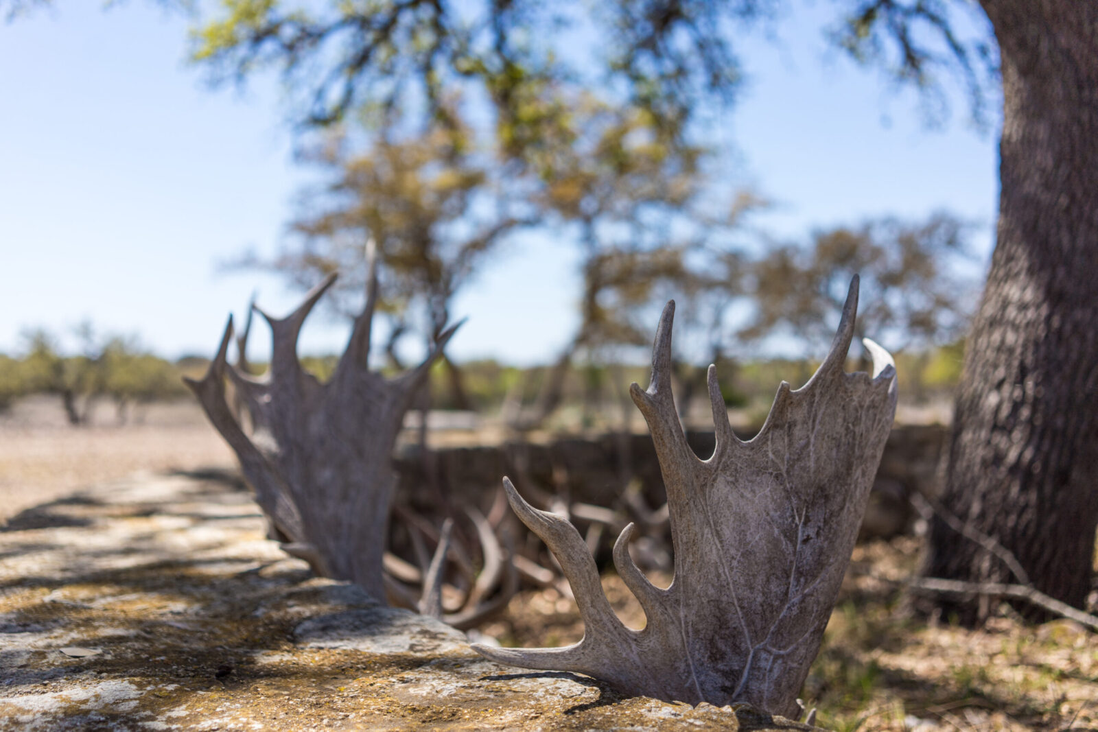 The 6 Outdoor Industries We Serve