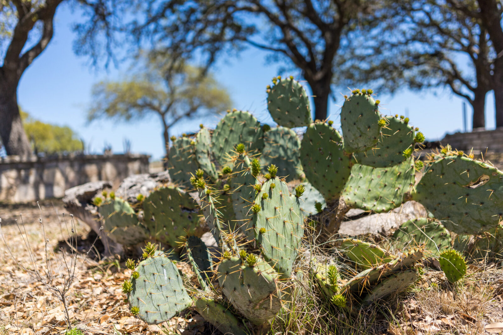 SEO Isn’t Dead—It’s Your Best Weapon in the Outdoor Industry